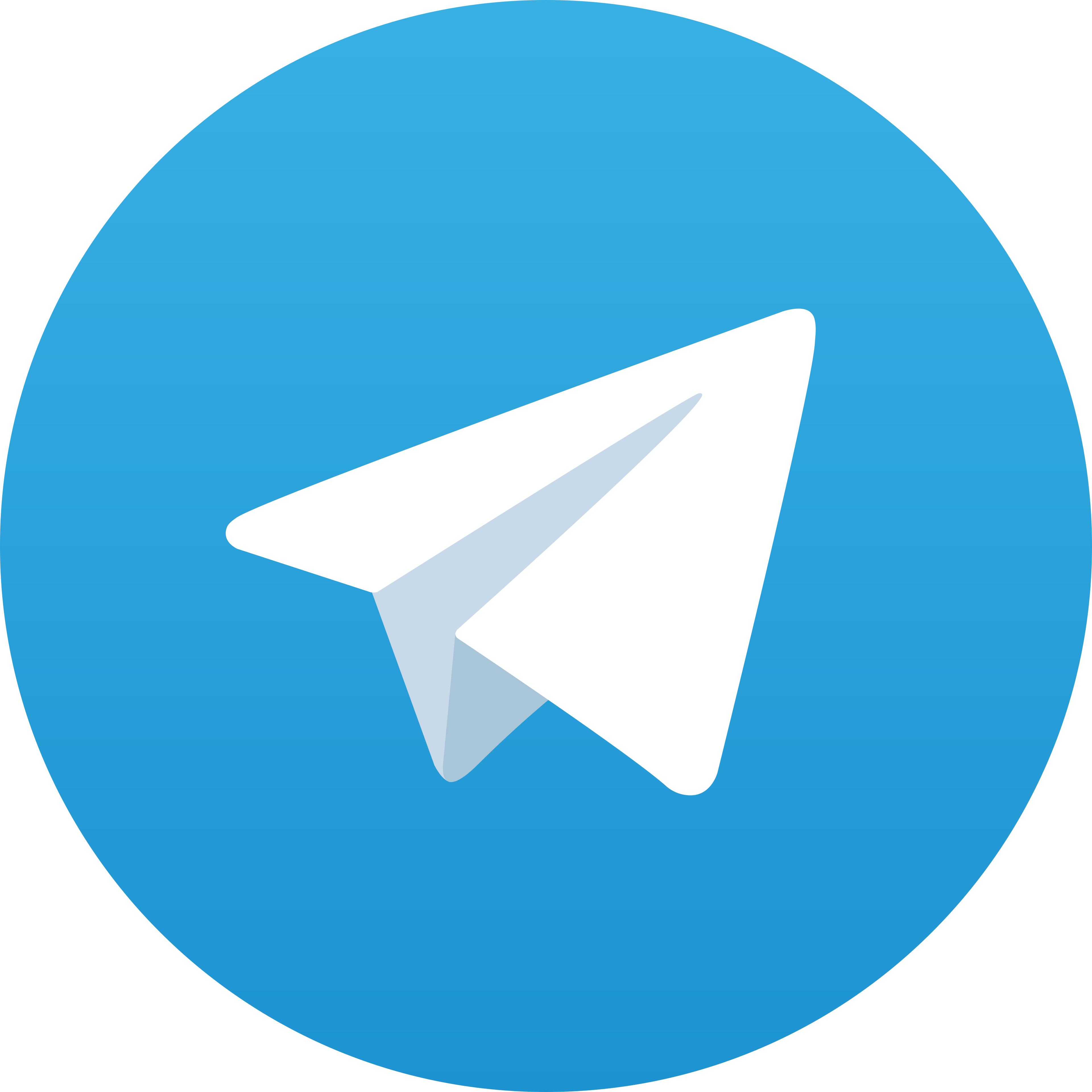 Telegram Buddy99